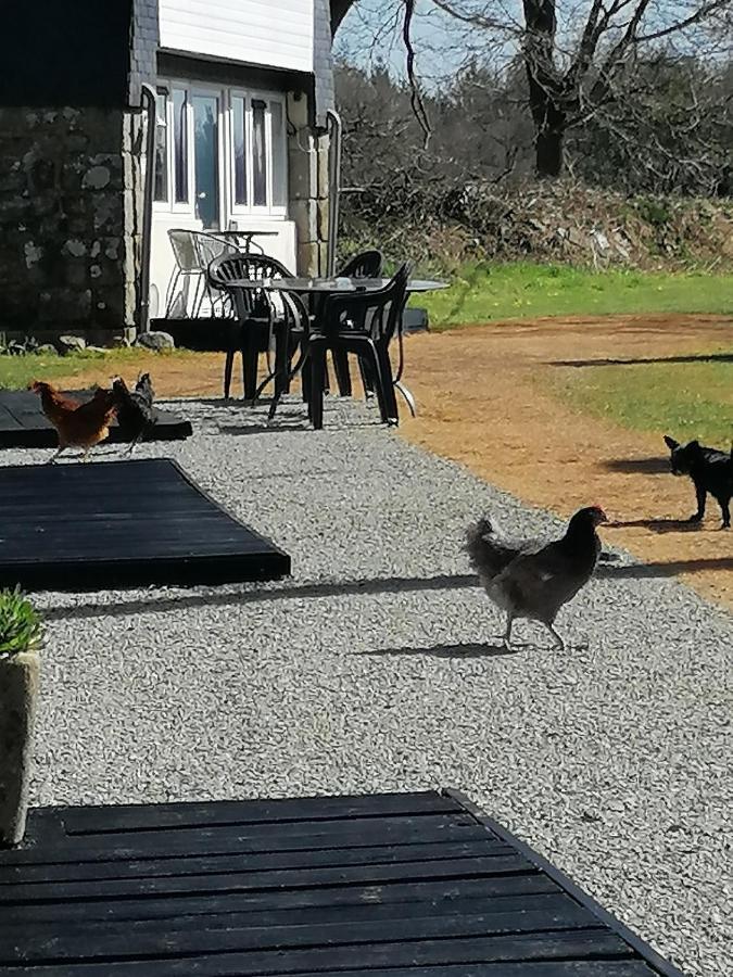 Le Petit Secret Saint-Hilaire (Morbihan) Exterior foto